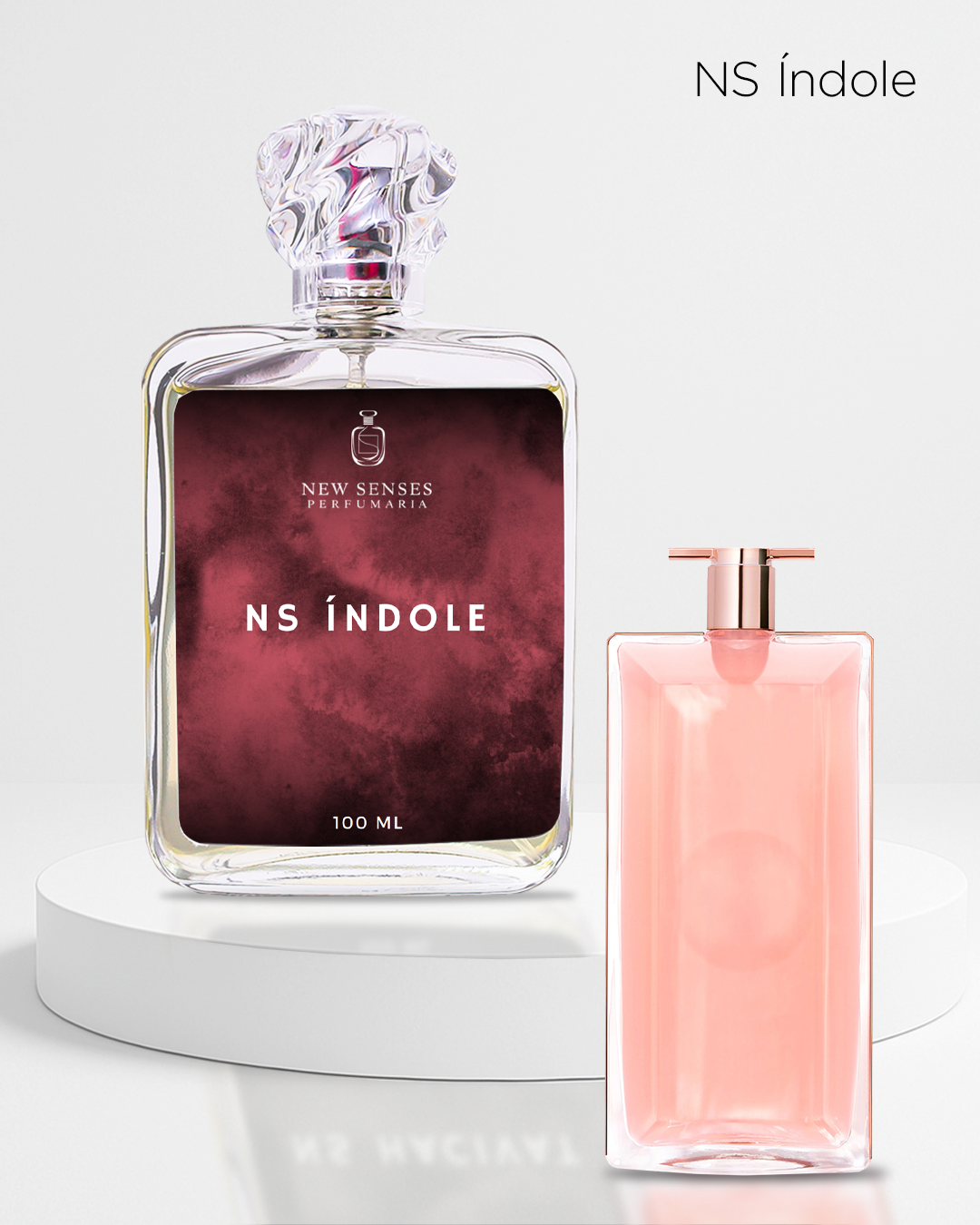 NS Ìndole