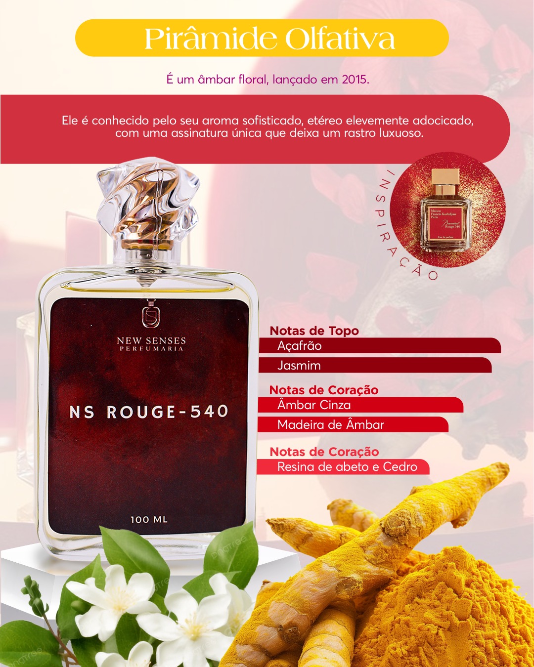 NS Rouge 540 - Imagem 4