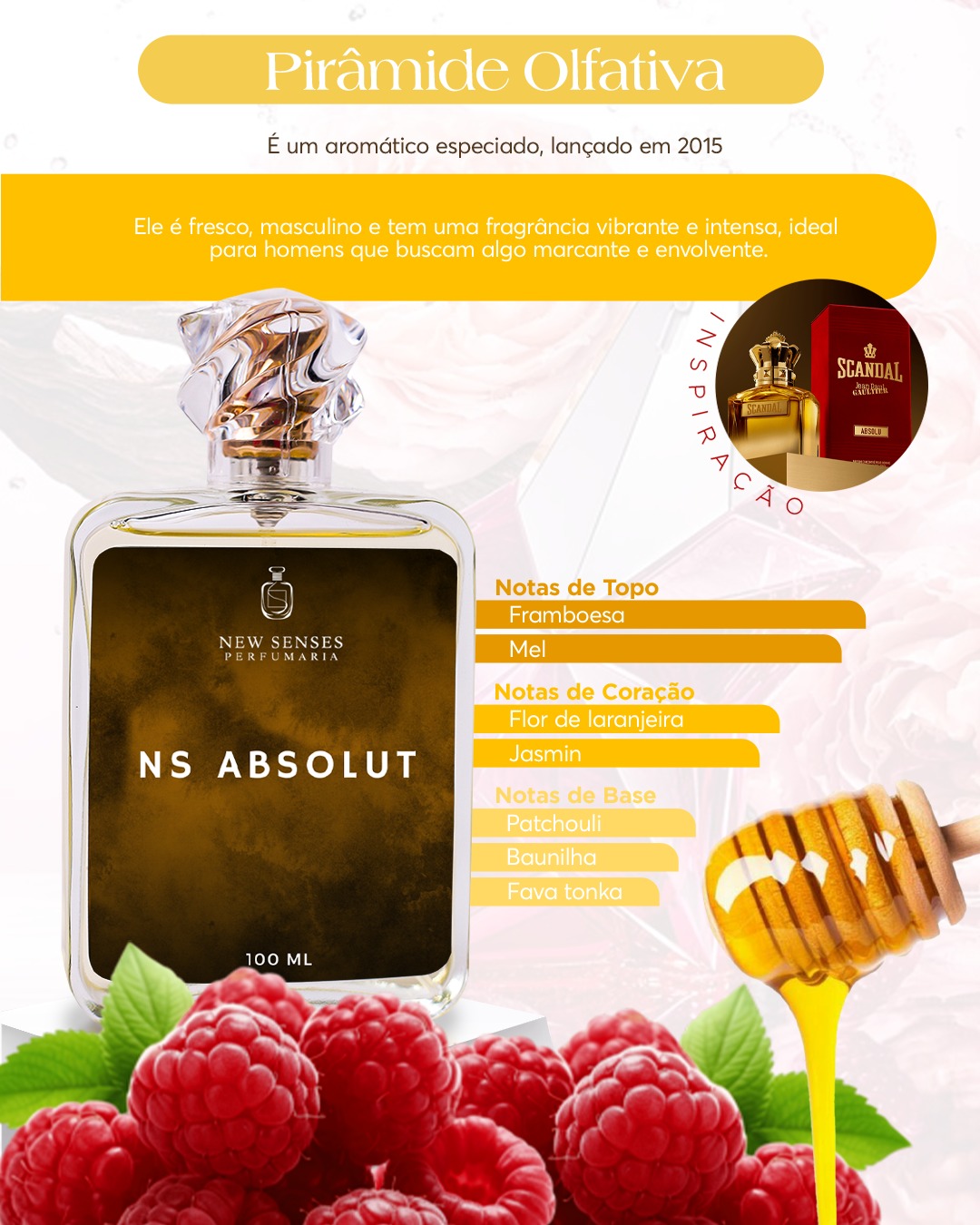 NS Absolut - Imagem 4